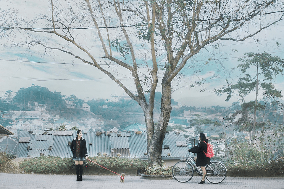 Things to do in Dalat, Vietnam
