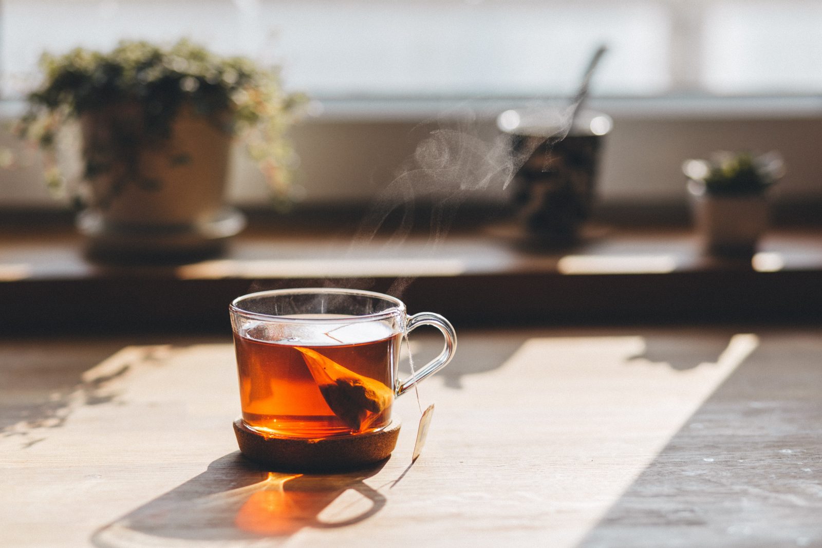 The Best Organic Tea Brands That You Need To Know About